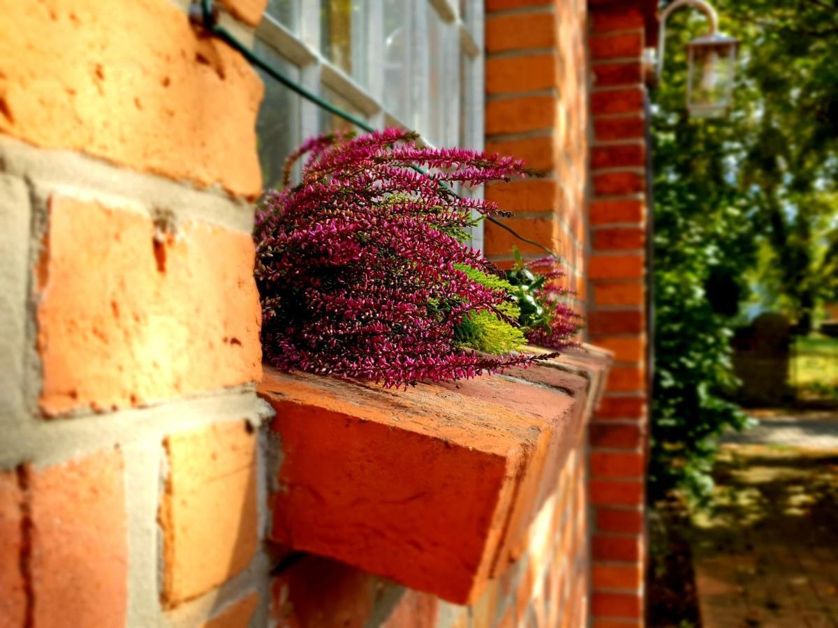 Schmiede1860 Bed & Breakfast Gross Dratow Dış mekan fotoğraf